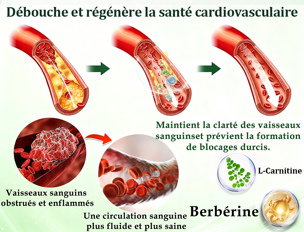 🔥Nouveautés : 80 % de réduction | Patch nano-micro-aiguilles 10-en-1 Purelora® L-carnitine, resvératrol × CoQ10 × capsaïcine (Une seule application par jour, résultats visibles en 7 jours) ✅ Favorise la gestion du poids, la fermeté de la peau