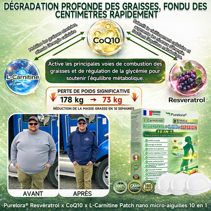 🔥Nouveautés : 80 % de réduction | Patch nano-micro-aiguilles 10-en-1 Purelora® L-carnitine, resvératrol × CoQ10 × capsaïcine (Une seule application par jour, résultats visibles en 7 jours) ✅ Favorise la gestion du poids, la fermeté de la peau