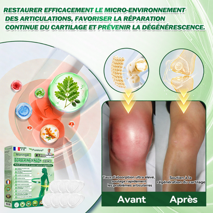 🔥 Nouveauté & Meilleure vente丨Purelora® Moringa Berbérine x NAD+ Patch Nano-Microneedle 10-en-1 Une application par jour, changements visibles dès 7 jours. Pour accompagner la gestion du poids et le bien-être global.