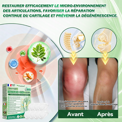 🏆 Recommandation n°1丨Purelora® Moringa Berbérine x NAD+ Patch Nano-Microneedle 10-en-1 Une application par jour, changements visibles dès 7 jours. Pour accompagner la gestion du poids, la fermeté de la peau et le bien-être global.