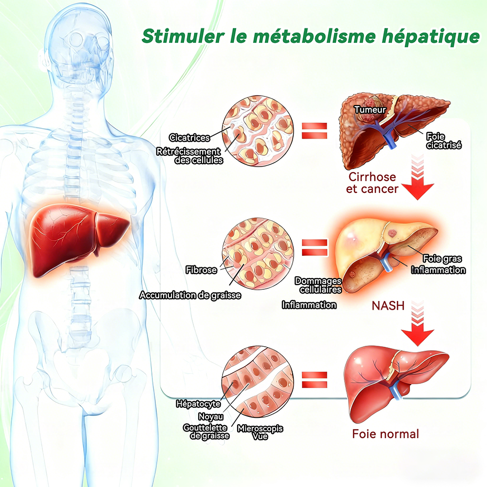 🔥Nouveautés : 80 % de réduction | Patch nano-micro-aiguilles 10-en-1 Purelora® L-carnitine, resvératrol × CoQ10 × capsaïcine (Une seule application par jour, résultats visibles en 7 jours) ✅ Favorise la gestion du poids, la fermeté de la peau
