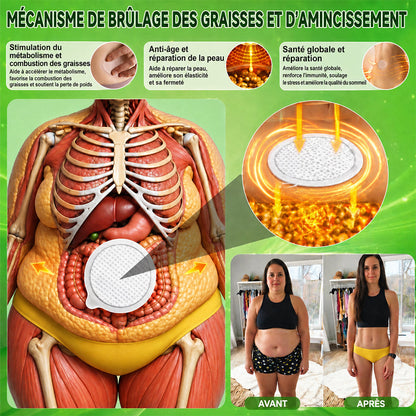 🔥 Patch Minceur Curalona® aux Nano-aiguilles de Phosphore Noir — Formule 12-en-1 (avec Berbérine + NMN + Vinaigre de cidre) | Stimule la combustion des graisses et stabilise la glycémie | Observez la transformation en seulement 7 jours