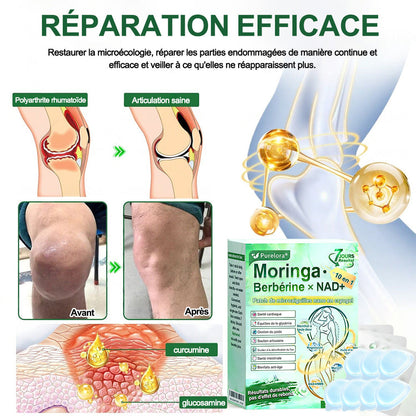 💖𝑷𝒉𝒂𝒓𝒎𝒂𝒄𝒊𝒆 𝑶𝒇𝒇𝒊𝒄𝒊𝒆𝒍𝒍𝒆💖 | Purelora® Moringa · Berbérine Patch 10-en-1 aux Nano-Micro-Aiguilles et Cryo-Gel ✅ Soutien Cryo-Métabolique : Cristallise les graisses, raffermit la peau et élimine l'œdème instantanément.