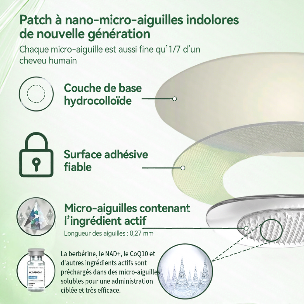 🏆 Recommandation n°1丨Purelora® Moringa Berbérine x NAD+ Patch Nano-Microneedle 10-en-1 Une application par jour, changements visibles dès 7 jours. Pour accompagner la gestion du poids, la fermeté de la peau et le bien-être global.