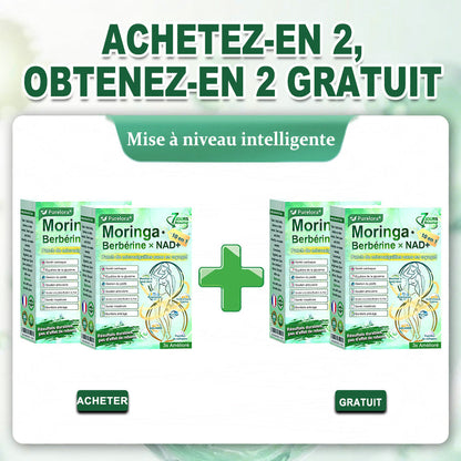 💖𝑷𝒉𝒂𝒓𝒎𝒂𝒄𝒊𝒆 𝑶𝒇𝒇𝒊𝒄𝒊𝒆𝒍𝒍𝒆💖 | 🇫🇷 Purelora® Moringa · Berbérine Patch 10-en-1 aux Nano-Micro-Aiguilles et Cryo-Gel ✅ Soutien Cryo-Métabolique : Cristallise les graisses, raffermit la peau et élimine l'œdème instantanément.