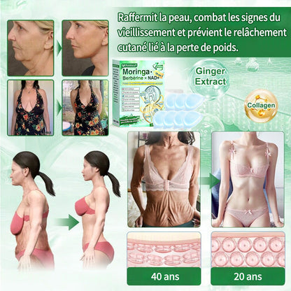 💖𝑷𝒉𝒂𝒓𝒎𝒂𝒄𝒊𝒆 𝑶𝒇𝒇𝒊𝒄𝒊𝒆𝒍𝒍𝒆💖 | Purelora® Moringa · Berbérine Patch 10-en-1 aux Nano-Micro-Aiguilles et Cryo-Gel ✅ Soutien Cryo-Métabolique : Cristallise les graisses, raffermit la peau et élimine l'œdème instantanément.