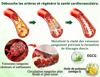 🔥 Nouveauté | Patch nano-micro-aiguilles Purelora® à la berbérine, au vinaigre de cidre de pomme et à l’EGCG 10-en-1 : brûle les graisses tenaces • lisse les rides • favorise le confort articulaire. Chaque patch agit — résultats visibles dès 7 jours.