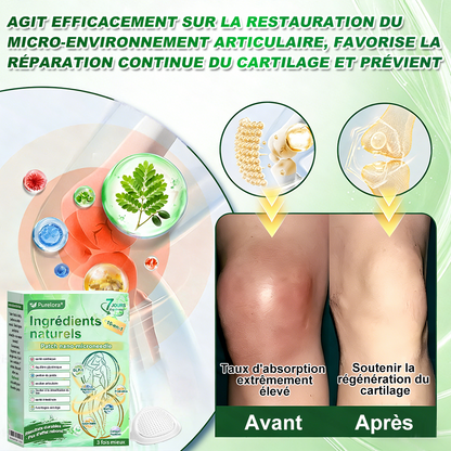 🔥 Nouveauté 2026丨Purelora® Patch Nano Microneedle 10-en-1 aux ingrédients naturels Une application par jour, changements visibles dès 7 jours. Pour accompagner la gestion du poids et le bien-être global.