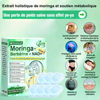 💖𝑷𝒉𝒂𝒓𝒎𝒂𝒄𝒊𝒆 𝑶𝒇𝒇𝒊𝒄𝒊𝒆𝒍𝒍𝒆💖 | Purelora® Moringa · Berbérine Patch 10-en-1 aux Nano-Micro-Aiguilles et Cryo-Gel ✅ Soutien Cryo-Métabolique : Cristallise les graisses, raffermit la peau et élimine l'œdème instantanément.
