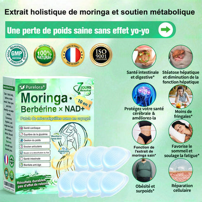 💖𝑷𝒉𝒂𝒓𝒎𝒂𝒄𝒊𝒆 𝑶𝒇𝒇𝒊𝒄𝒊𝒆𝒍𝒍𝒆💖 | 🇫🇷 Purelora® Moringa · Berbérine Patch 10-en-1 aux Nano-Micro-Aiguilles et Cryo-Gel ✅ Soutien Cryo-Métabolique : Cristallise les graisses, raffermit la peau et élimine l'œdème instantanément.