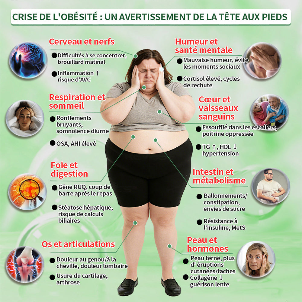 🔥 Nouveauté | Curalona® Patch Microneedle 10-en-1 – Berbérine & NAD+ pour le métabolisme, Bakuchiol pour la peau, Boswellia pour les articulations – Patch jour & nuit – 7 patchs – Résultats visibles en 7 jours