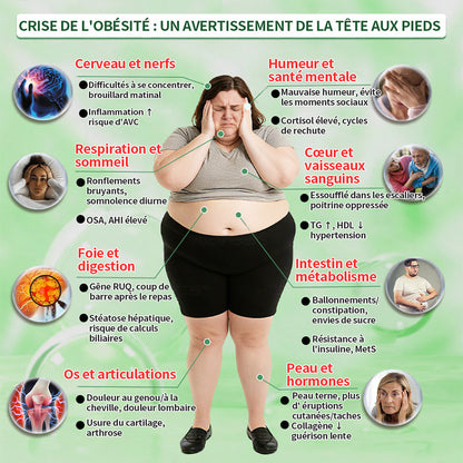 🔥 Nouveauté | Curalona® Patch Microneedle 10-en-1 – Berbérine & NAD+ pour le métabolisme, Bakuchiol pour la peau, Boswellia pour les articulations – Patch jour & nuit – 7 patchs – Résultats visibles en 7 jours