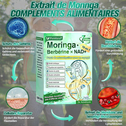 💖𝑷𝒉𝒂𝒓𝒎𝒂𝒄𝒊𝒆 𝑶𝒇𝒇𝒊𝒄𝒊𝒆𝒍𝒍𝒆💖 | Purelora® Moringa · Berbérine Patch 10-en-1 aux Nano-Micro-Aiguilles et Cryo-Gel ✅ Soutien Cryo-Métabolique : Cristallise les graisses, raffermit la peau et élimine l'œdème instantanément.